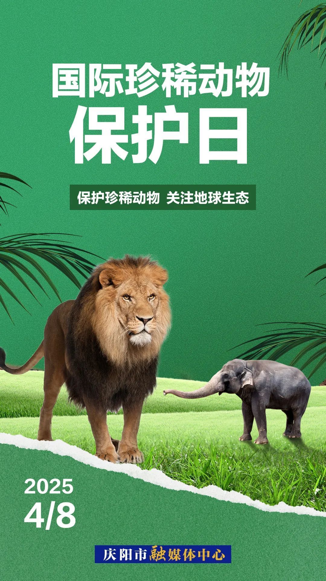 國際珍稀動物保護(hù)日丨因?yàn)椤罢湎　彼浴罢湎А?>

                        <div   id=